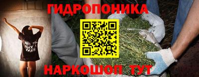 мяу мяу мука Аргун