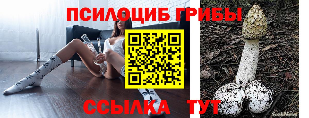 Галлюциногенные грибы ЛСД  Вход с VPN  Псилоцибиновые грибы ЛСД  Вольск 